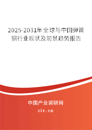 2025-2030年全球與中國彈簧鋼行業現狀及前景趨勢報告