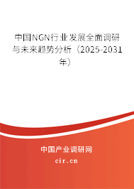 中國NGN行業發展全面調研與未來趨勢分析（2025-2031年）