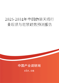 2025-2031年中國偽裝天線行業(yè)現(xiàn)狀與前景趨勢預(yù)測報告