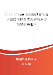 2025-2031年中國聚酰亞胺復(fù)合薄膜市場深度調(diào)研與發(fā)展前景分析報告