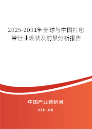 2025-2031年全球與中國打包帶行業(yè)現(xiàn)狀及前景分析報告