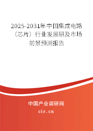 2025-2031年中國(guó)集成電路（芯片）行業(yè)發(fā)展研及市場(chǎng)前景預(yù)測(cè)報(bào)告