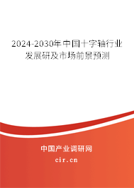 2024-2030年中國十字軸行業發展研及市場前景預測
