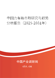 中國力車胎市場研究與趨勢分析報告（2025-2031年）