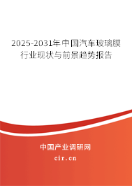 2025-2031年中國(guó)汽車玻璃膜行業(yè)現(xiàn)狀與前景趨勢(shì)報(bào)告