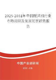 2025-2031年中國暖風機行業市場調研及發展前景趨勢報告