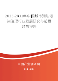 2025-2031年中國城市湖泊污染治理行業發展研究與前景趨勢報告