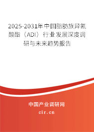 2025-2031年中國脂肪族異氰酸酯（ADI）行業發展深度調研與未來趨勢報告
