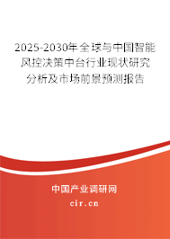 2025-2030年全球與中國智能風控決策中臺行業現狀研究分析及市場前景預測報告