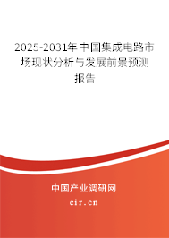 2025-2031年中國集成電路市場現狀分析與發展前景預測報告