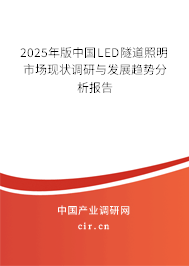 2025年版中國LED隧道照明市場現狀調研與發展趨勢分析報告