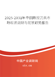 2024-2030年中國數控刀具市場現狀調研與前景趨勢報告