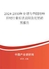 2024-2030年全球與中國特種焊材行業現狀調研及前景趨勢報告