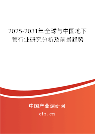 2025-2031年全球與中國地下管行業研究分析及前景趨勢