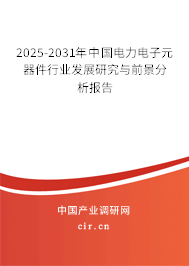 2025-2031年中國電力電子元器件行業發展研究與前景分析報告