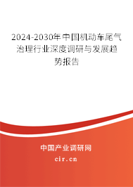2024-2030年中國機動車尾氣治理行業深度調研與發展趨勢報告