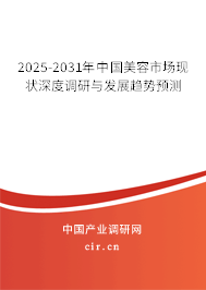 2025-2031年中國美容市場現狀深度調研與發展趨勢預測