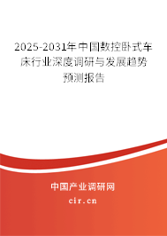 2025-2031年中國數控臥式車床行業深度調研與發展趨勢預測報告