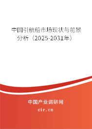 中國引航船市場現狀與前景分析（2024-2030年）