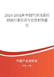 2024-2030年中國氣體流量控制器行業現狀與前景趨勢報告