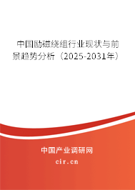 中國勵磁繞組行業(yè)現(xiàn)狀與前景趨勢分析（2025-2031年）