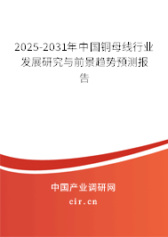 2025-2031年中國銅母線行業發展研究與前景趨勢預測報告