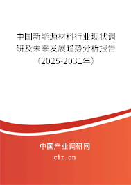 中國(guó)新能源材料行業(yè)現(xiàn)狀調(diào)研及未來發(fā)展趨勢(shì)分析報(bào)告（2025-2031年）