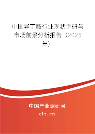 中國(guó)異丁胺行業(yè)現(xiàn)狀調(diào)研與市場(chǎng)前景分析報(bào)告（2025年）