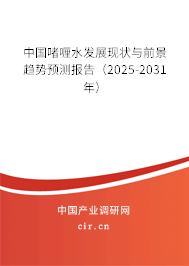 中國啫喱水發展現狀與前景趨勢預測報告（2025-2031年）