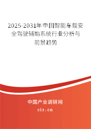 2024-2030年中國智能車載安全駕駛輔助系統行業分析與前景趨勢