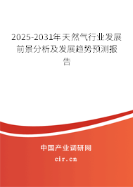 2025-2031年天然氣行業發展前景分析及發展趨勢預測報告