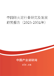 中國硅火泥行業研究及發展趨勢報告（2025-2031年）