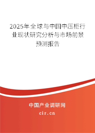 2025年全球與中國中壓柜行業現狀研究分析與市場前景預測報告