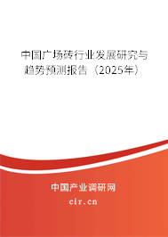 中國廣場磚行業發展研究與趨勢預測報告（2025年）
