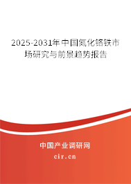 2025-2031年中國氮化鉻鐵市場研究與前景趨勢報告