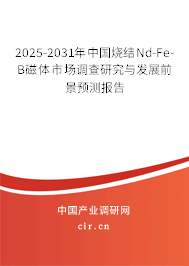 2025-2031年中國燒結Nd-Fe-B磁體市場調查研究與發展前景預測報告