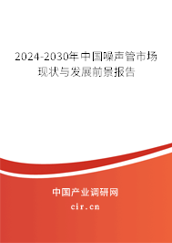 2024-2030年中國噪聲管市場現狀與發展前景報告