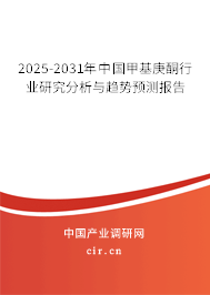 2025-2031年中國甲基庚酮行業研究分析與趨勢預測報告