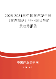 2025-2031年中國蒸汽發生器（蒸汽鍋爐）行業現狀與前景趨勢報告