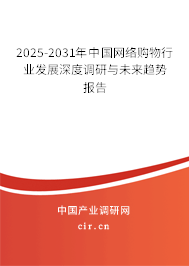 2025-2031年中國網(wǎng)絡(luò)購物行業(yè)發(fā)展深度調(diào)研與未來趨勢報(bào)告