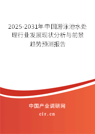 2025-2031年中國游泳池水處理行業(yè)發(fā)展現(xiàn)狀分析與前景趨勢預(yù)測報告