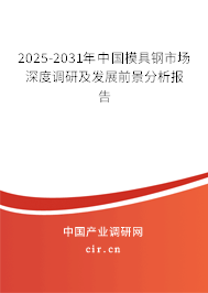 2025-2031年中國模具鋼市場深度調研及發展前景分析報告