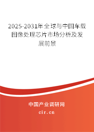 2024-2030年全球與中國車載圖像處理芯片市場分析及發(fā)展前景