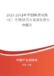 2025-2031年中國集成電路（IC）市場研究與發展前景分析報告
