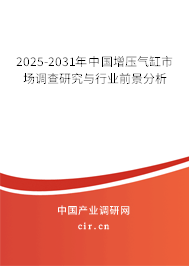 2025-2031年中國增壓氣缸市場調查研究與行業前景分析