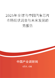 2025年全球與中國汽車芯片市場現狀調查與未來發展趨勢報告