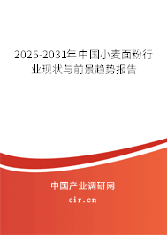 2025-2031年中國小麥面粉行業現狀與前景趨勢報告