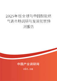 2025年版全球與中國智能燃氣表市場調研與發展前景預測報告