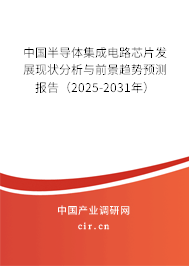 中國半導(dǎo)體集成電路芯片發(fā)展現(xiàn)狀分析與前景趨勢預(yù)測報告（2025-2031年）