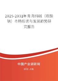 2025-2031年青海純堿（碳酸鈉）市場現狀與發展趨勢研究報告